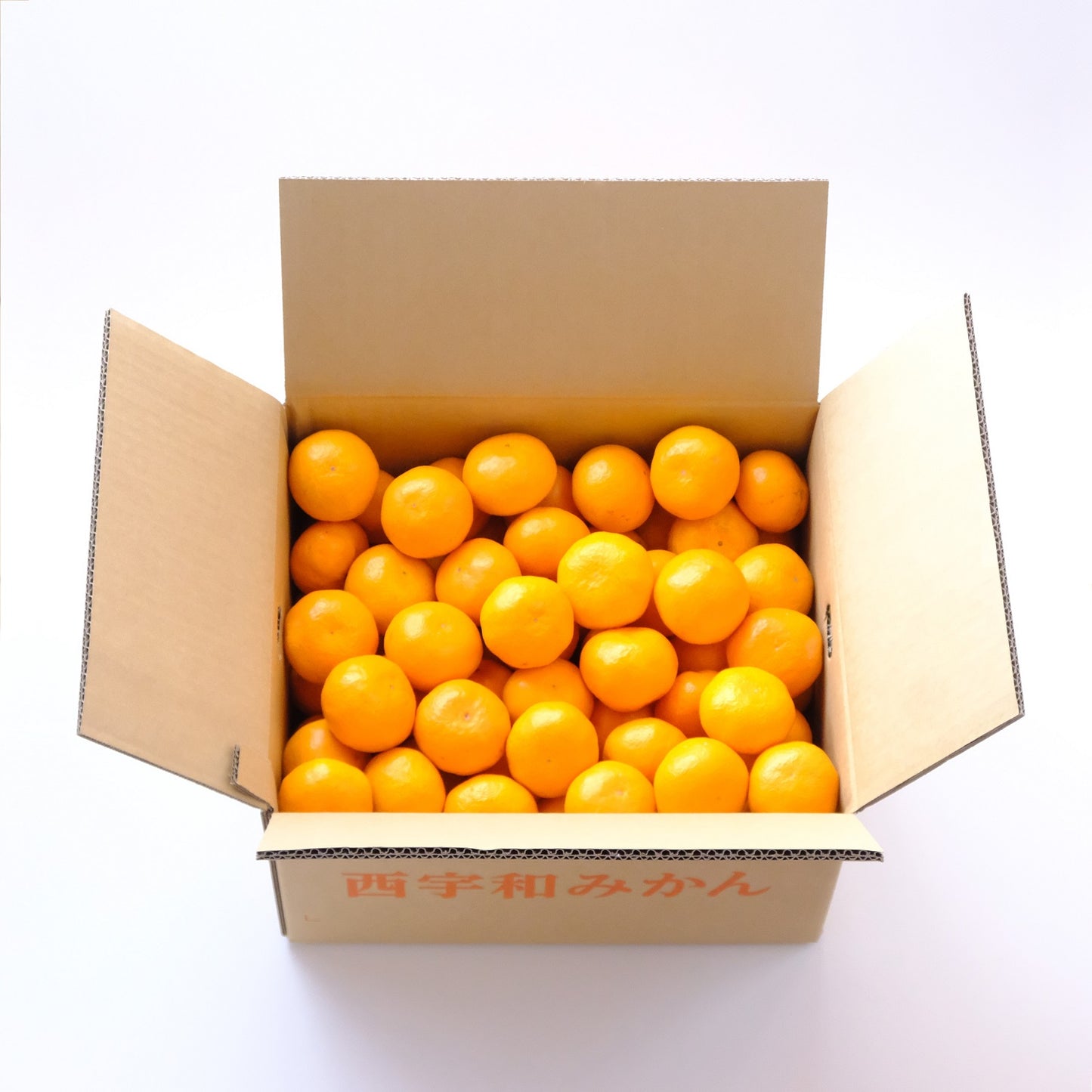 【予約商品:11月以降発送】温州みかん 10kg