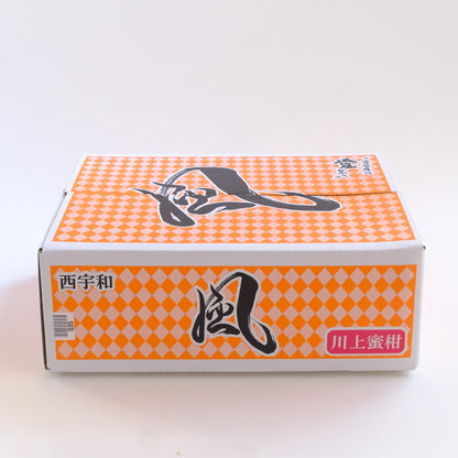 【予約商品：11月以降発送】風 5kg