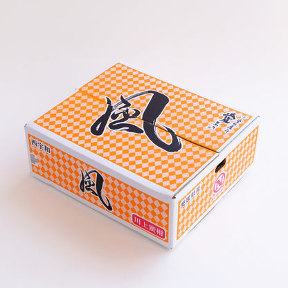 【予約商品：11月以降発送】風 5kg