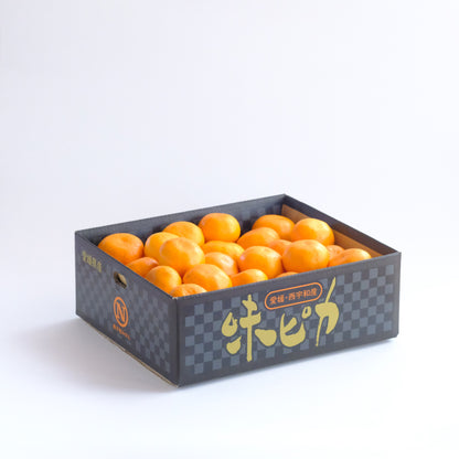 【予約商品：11月以降発送】味ピカみかん 5kg