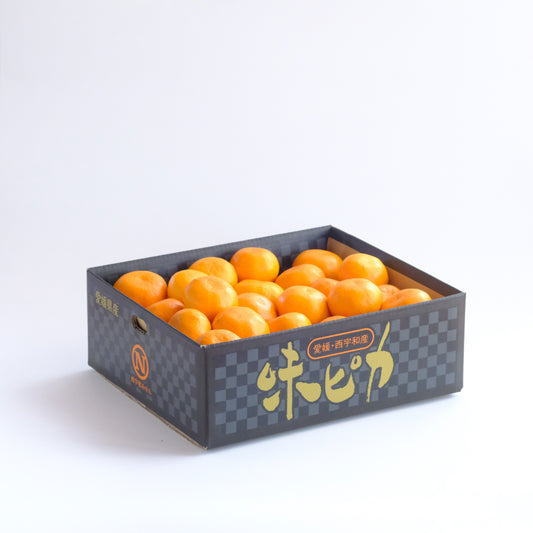 【予約商品：11月以降発送】味ピカみかん 5kg