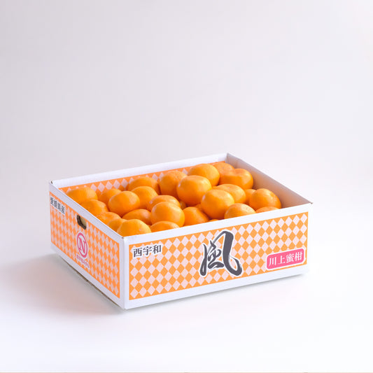 【予約商品：11月以降発送】風 5kg