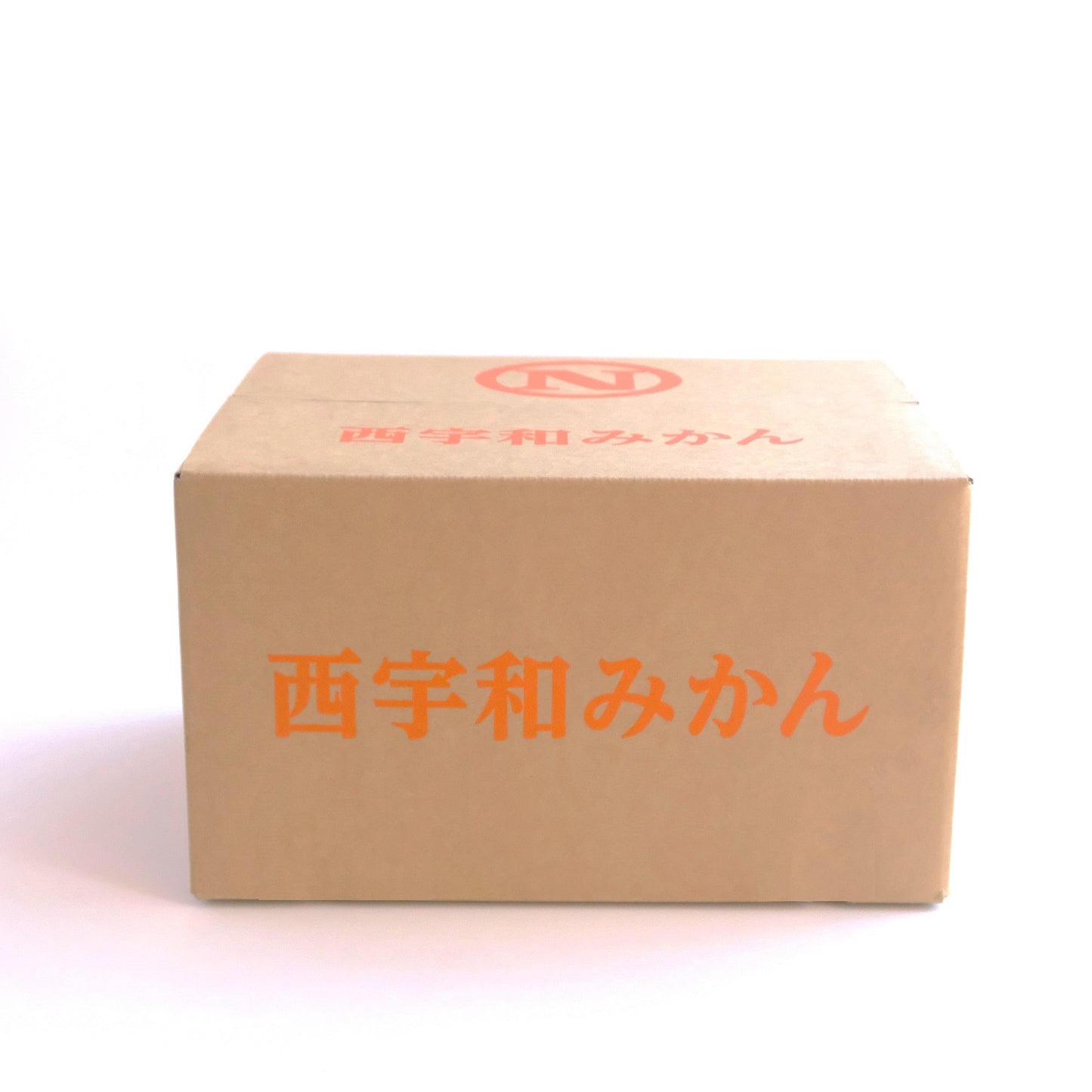 【予約商品：11月以降発送】温州みかん 10kg
