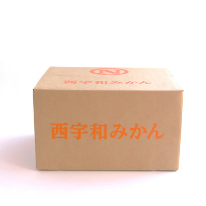 【予約商品：11月以降発送】温州みかん 10kg