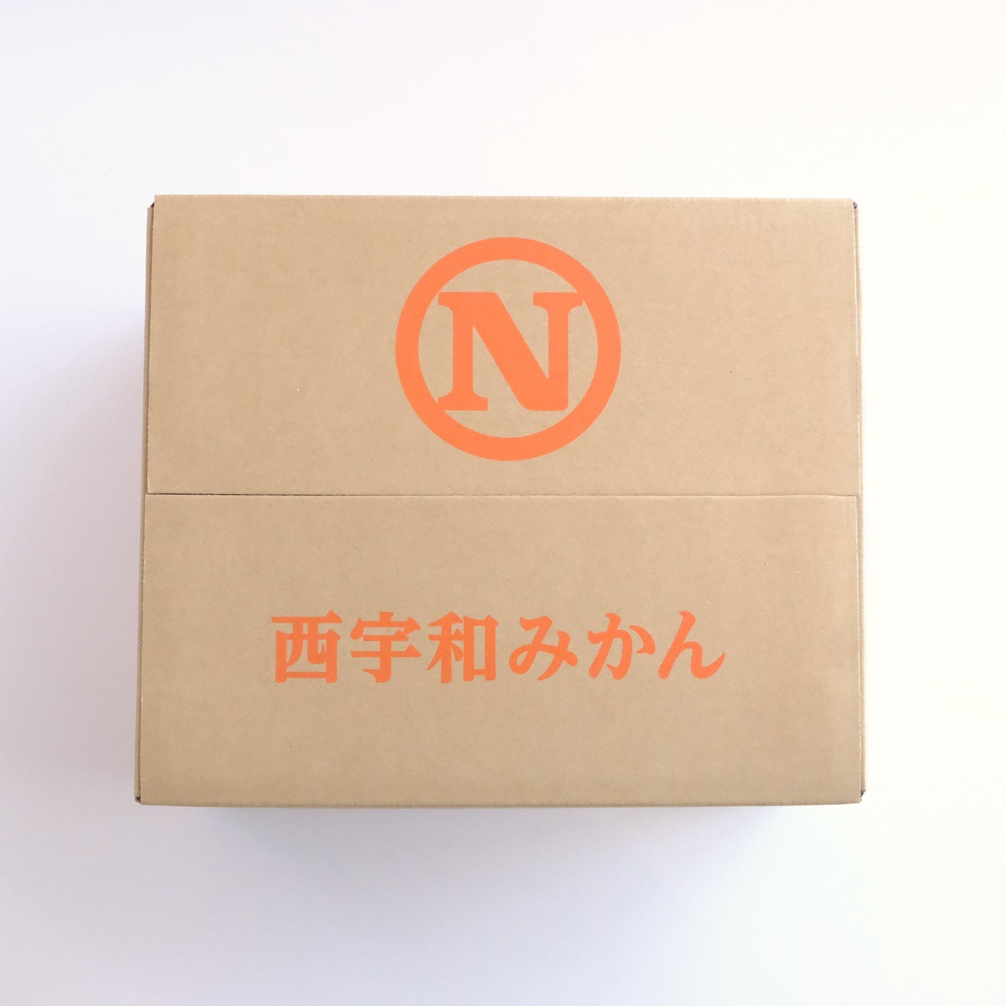 【予約商品：11月以降発送】温州みかん 10kg
