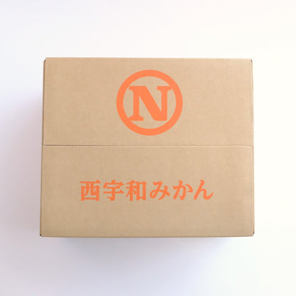 【予約商品：11月以降発送】温州みかん 10kg