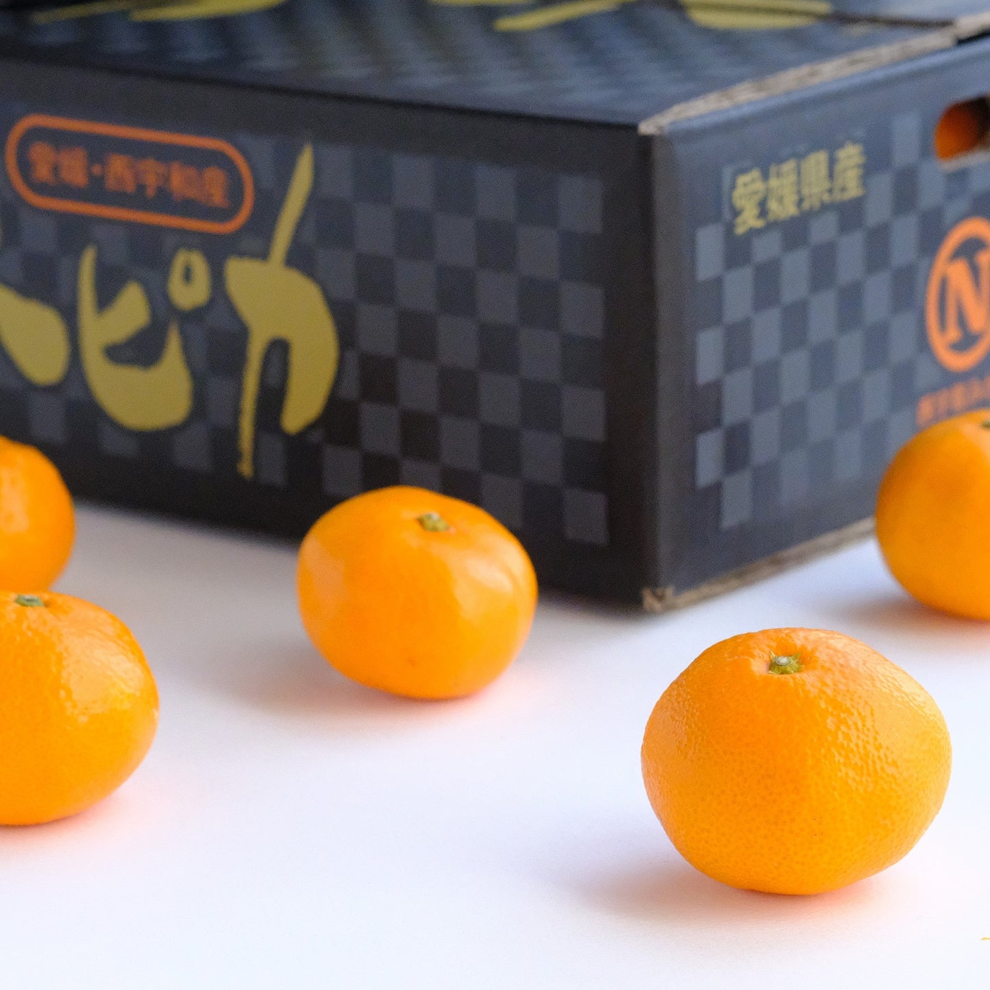 【予約商品：11月以降発送】味ピカみかん 5kg